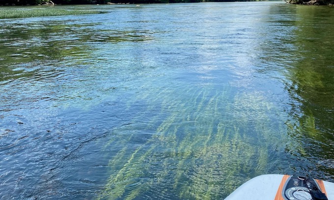 Newell Cabin | Relax on the River
