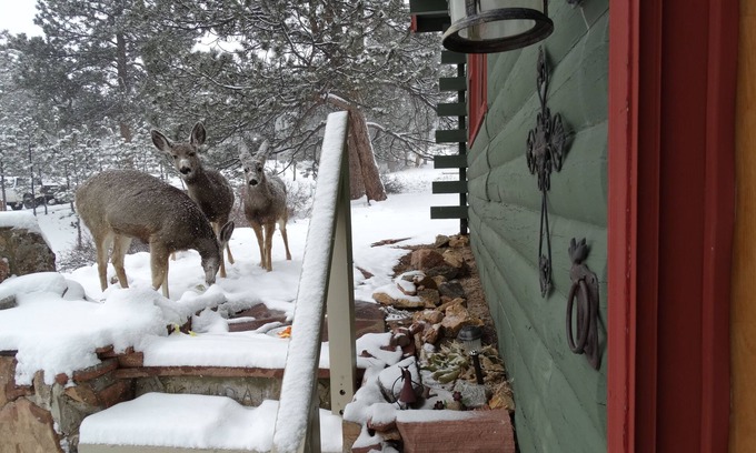 Estes Park House | Relaxing 3B/2B Estes Park Home : Large Deck, Beautiful Mountain Views [3365]