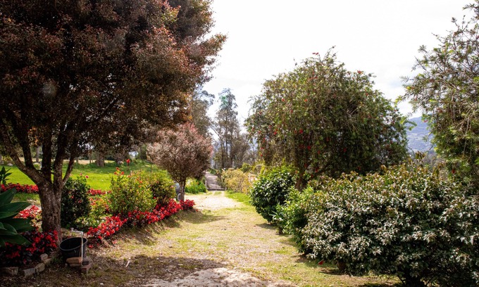 Pacho Cottage | Remodelled Cosy House in the Country Side Stunning Mountain View - Close to City