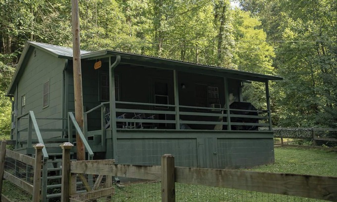 Franklin Cabin | REMOTE, Cheerful Mountain Cabin with hot tub in Franklin, NC.