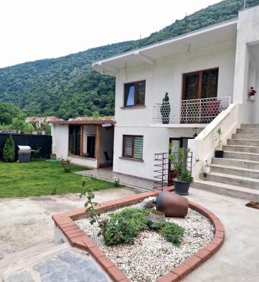 Baile Herculane House | Renate House