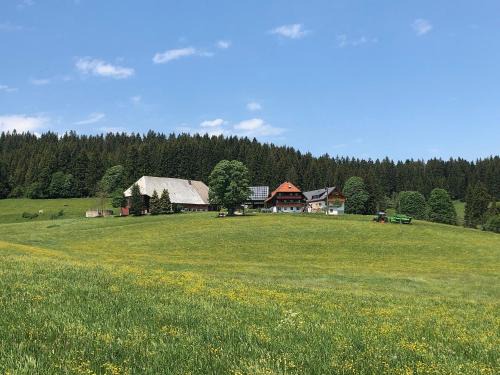 Schollach House | Rengethof