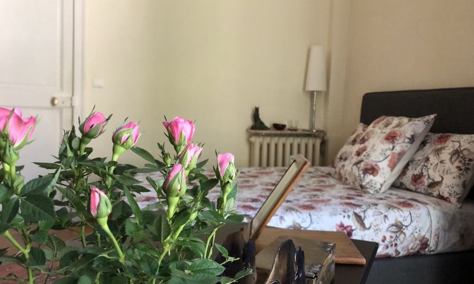 Historic Centre Apartment | Rent Arc de Triomphe Jardins du Peyrou in the heart of the crest