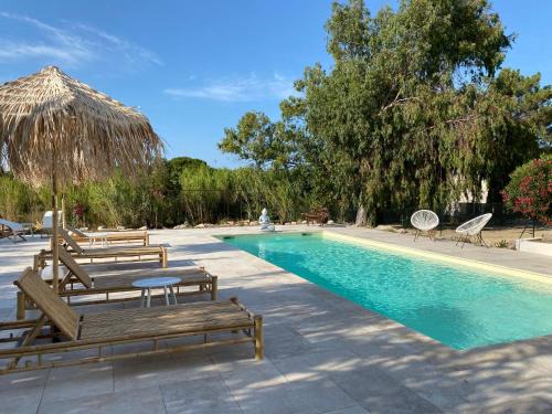 Calvi Apartment | Residence Paolina