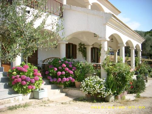 Galeria House | residence u filipaghju