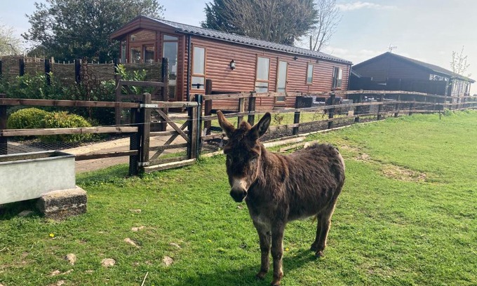 Seend Apartment | Rew Farm Country and Equestrian Accommodation - Sunset Lodge
