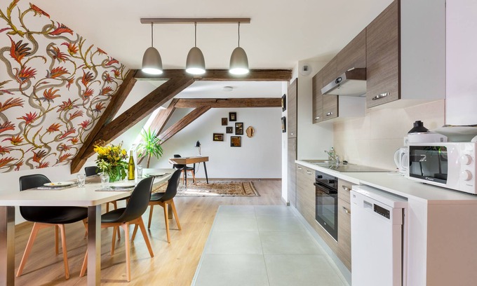 Selestat Apartment | RHENANUS: Hans Sapidus ๐โ๐
ฟ๏ธ๐