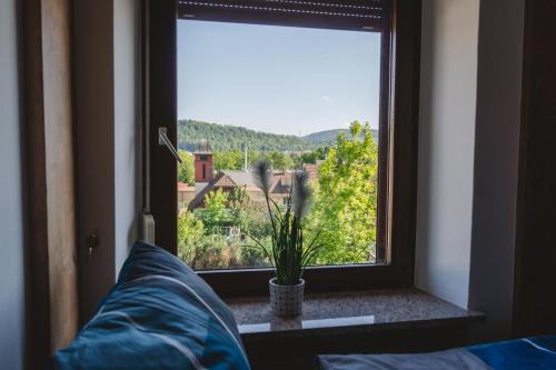 Laufenburg Apartment | Rhina