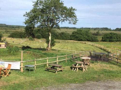 Bethania House | Rhydgaled