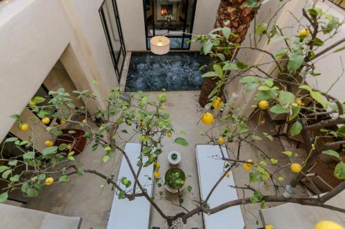 Mouassine House | Riad KO Nova