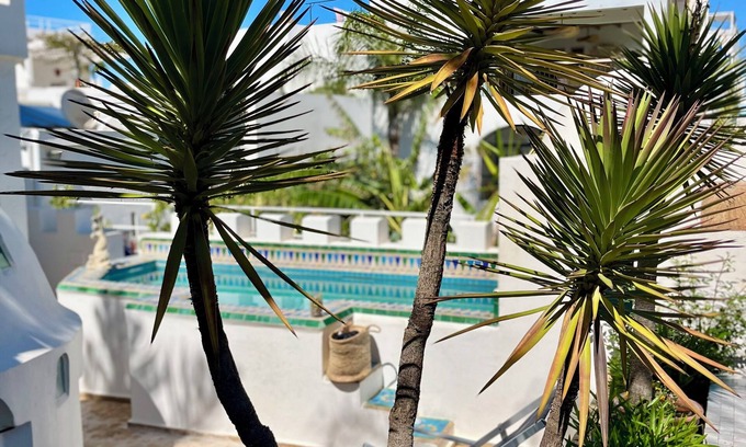 Medina House | Riad Oasis d'Asilah