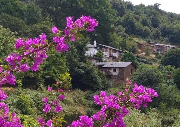 Panton House | Ribera Sacra (apartamento Rural)
