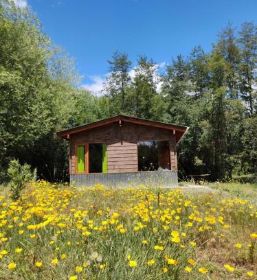 Lago Puelo Ski Chalet | Riberas del Azul
