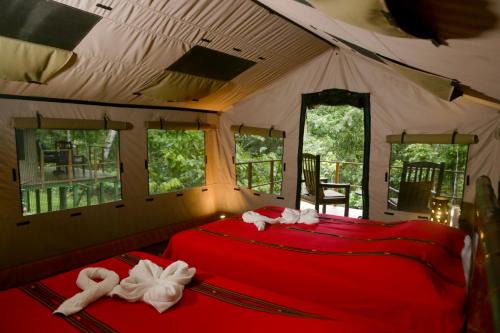 Punta Mala Cabin | Rio Tico Safari Lodge