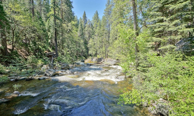 Kyburz Cabin | River front property!