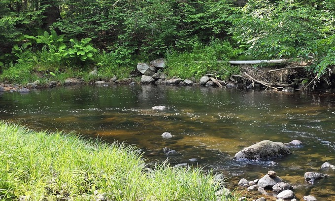 Canaan House | River Retreat –Tranquil Getaway, Fish, Hike & Explore from Your Back Door