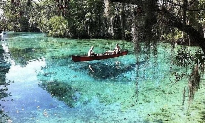 Dunnellon Cottage | River Retreats/Anglers Paradise