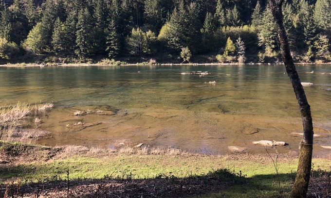 Umpqua House | RiverFront Property in the Heart of Umpqua Wine Tour Country