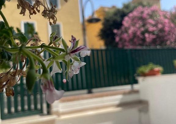 Anzio Bed & Breakfast | Riviera Albachiara Anzio B&B