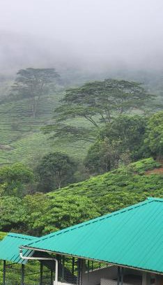 Vagamon House | Rock Villa