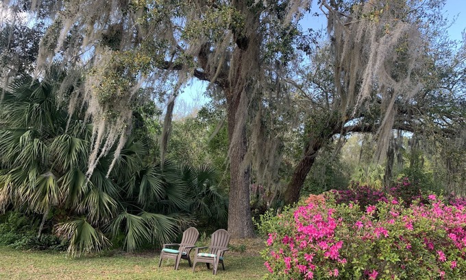 Mims Cottage | Rocket & Nature Lovers! Vintage European Cottage in a lush Florida Setting