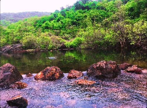 Dapoli House | Rohan Homestay By Traviget Hospitality, Dapoli-Konkan