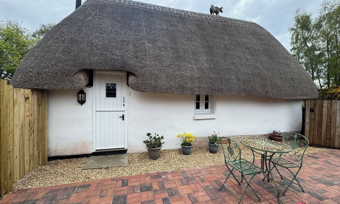 New Forest District Cottage | Romantic cottage in the heart of the New Forest, perfect for walkers.