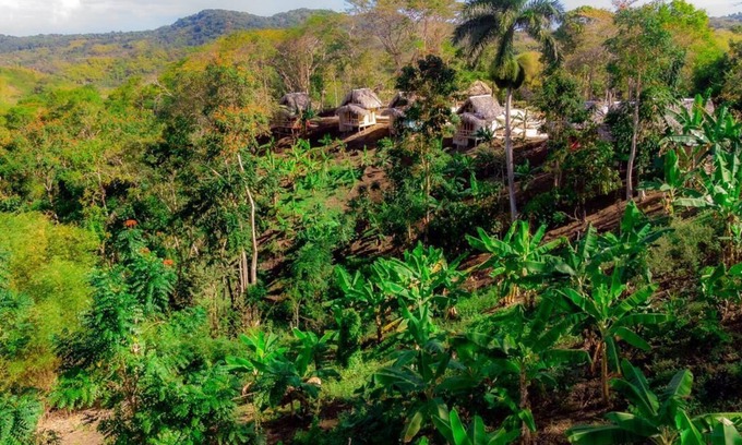 Orange Bay Cabin | Romantic Cottages in Jamaican Hills w/hiking trails and Fruit trees on property