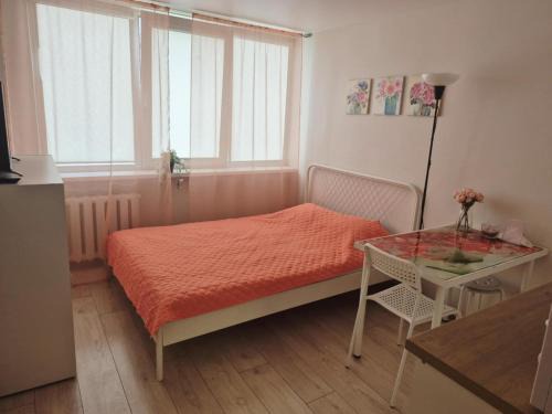 Klaipeda Apartment | Romantic Studio