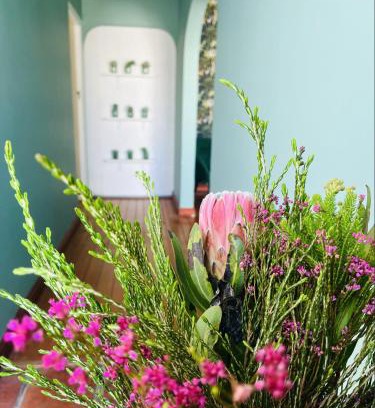 Rondebosch Apartment | Rondebosch Cottage