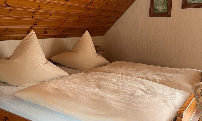 Bad Rippoldsau-Schapbach Apartment | Room 'Doppelzimmer' with Shared Garden, Balcony and Wi-Fi