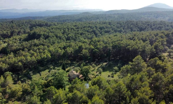 Salernes House | Room in a Provençal bastidon