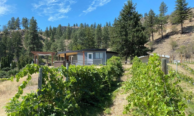Okanagan-Similkameen House | Roundhouse Ridge - Vineyard, Hot Tub and Acreage to Explore!