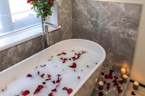 Lviv City Center Apartment | Royal apart with bathtub on Rappaporta 15