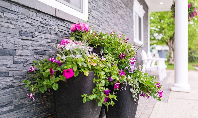 Happy Valley - Goose Bay Hotel | Royal Inn & Suites