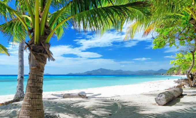 Anse Royale Apartment | Royal Suites by Arc Royal Luxury Apartments (1BR)