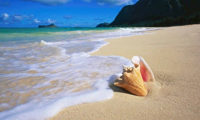 Anse Royale Apartment | Royal Suites by Arc Royal Luxury Apartments (1BR)