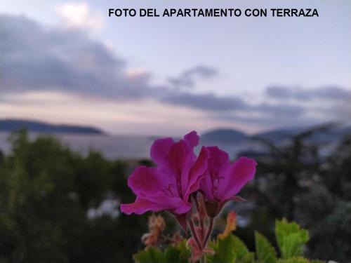 Covas Apartment | Rua Granxas, n 13, Piso con terraza o Estudio sin terraza