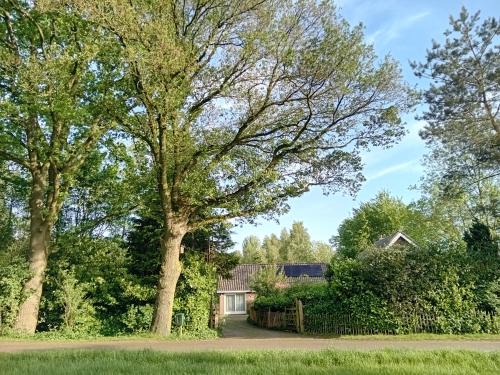 Hemrik House | Ruim huisje op een prachtige plek