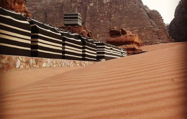 Wadi Rum Bed & Breakfast | Rum sky