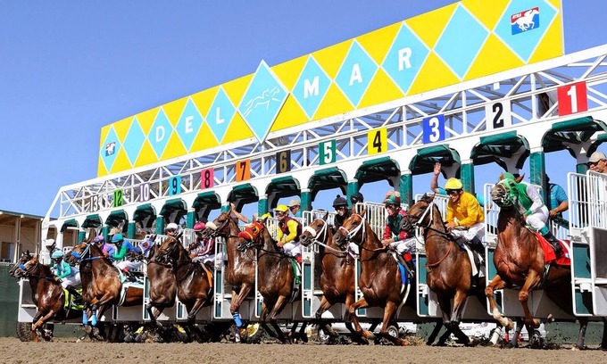 Solana Beach Condo | Run to Del Mar Racetrack for the Breeders Cup! Spacious full one-bedroom condo.