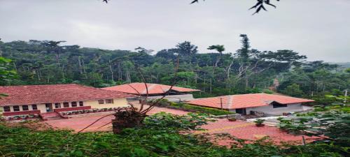 Chikkamagaluru House | Rushika Homestay Chikmagalur