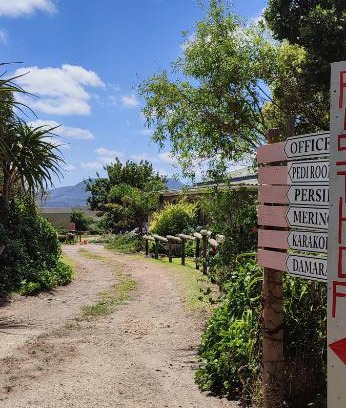 Baardskeerdersbos House | Rusthof Accommodation