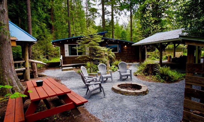 Ashford Cabin | Rustic cabin, nestled in the trees, under a mile to Mt. Rainier entrance.