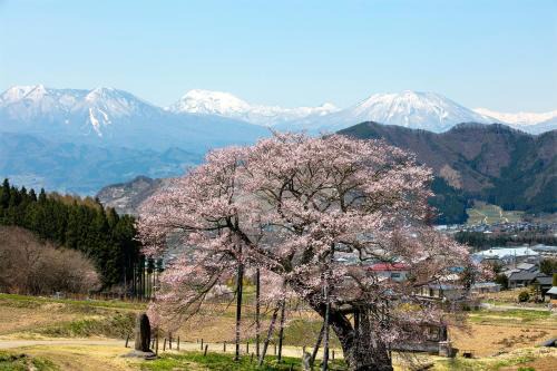 Takayama Hotel | Ryokan Warabino