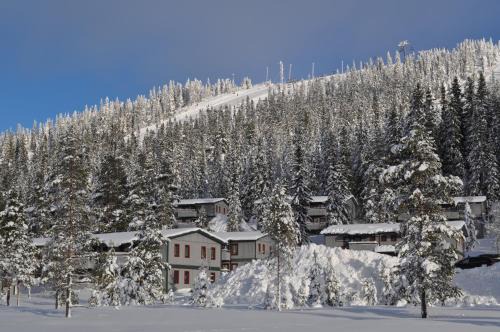 Stoten Apartment | SÄLEN, Ski in-Ski out, Lägenhet 12C Grå Byn
