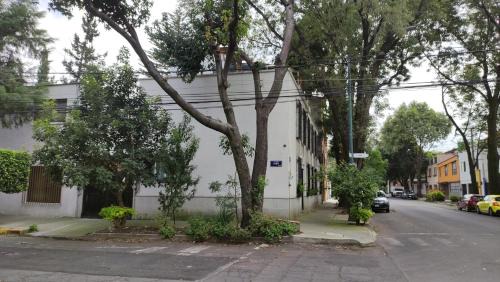 Del Carmen House | SúperAnfitrión Coyoacán King 1