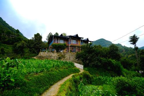 Kaul House | Saanidhya Homestay
