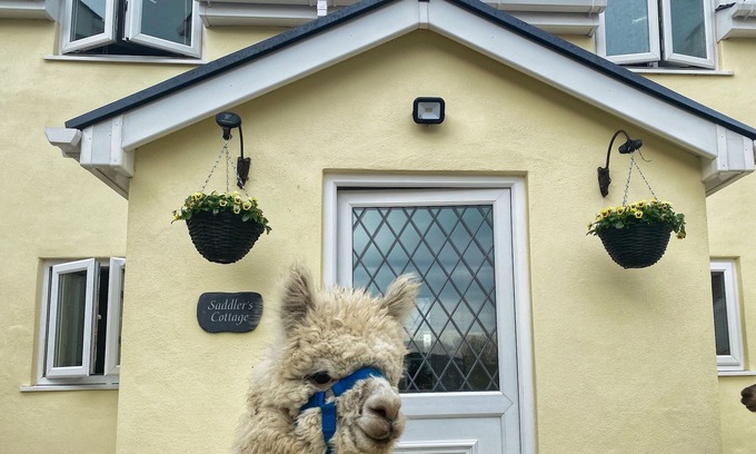 Clynderwen Cottage | SADDLERS COTTAGE, BERLLANDEG FARM, family friendly in Clunderwen
