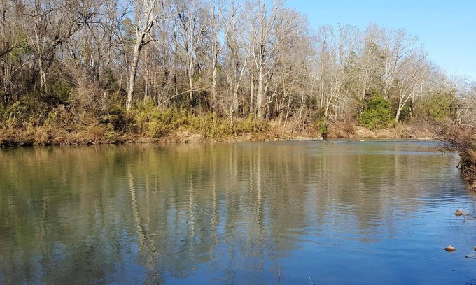 Battiest Cabin | Safari on Glover River: Sleeps 6, Hot Tub, Glover River, Fireplace, Canoe